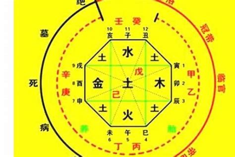 八字 出生時間|生辰八字算命、五行喜用神查詢（免費測算）